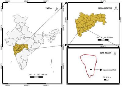 Impact of residue retention and nutrient management on carbon sequestration, soil biological properties, and yield in multi-ratoon sugarcane